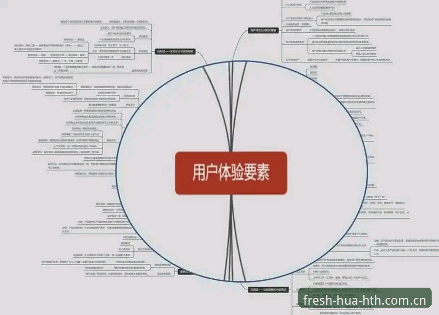华体会体育更新全面解析：从版本迭代到用户体验的深度洞察